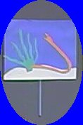 2pfishh.jpg (5290 bytes)
